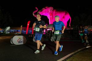 BIB: 
                            <button type="button" onclick="openModal(26542774)" class="btn btn-primary btn-sm float-right btn-popup" data-toggle="modal" data-target=".modal-high-quality">
                        <i class="fas fa-shopping-cart"></i> Add to Cart
                    </button>
                                            <button type="button" onclick="isThisMe(26542774, true)" class="btn btn-success btn-sm float-right btn-popup btn-isme hidden" data-toggle="tooltip" data-placement="bottom" title="นี่คือรูปของคุณใช่ไหม คลิกที่นี่เพื่อเอาเข้าอัลบั้ม">
                        <i class="fas fa-plus"></i> Add to album
                    </button>
                    <button type="button" onclick="isThisMe(26542774, false)" class="btn btn-warning btn-sm float-right btn-popup btn-isnotme hidden">
                        <i class="fas fa-ban"></i> Remove from album
                    </button>